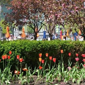 Meet your Posher, Janice